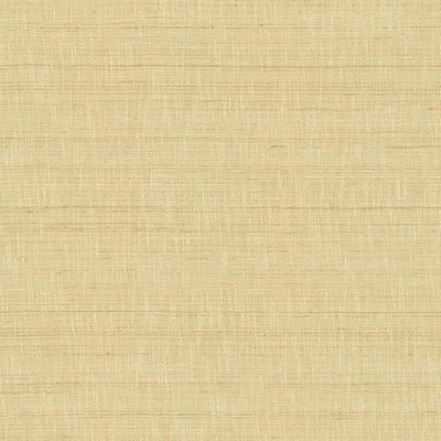 Kasmir With A View Beige in 5170 Beige Polyester
37%  Blend Fire Rated Fabric Heavy Duty CA 117  NFPA 260   Fabric
